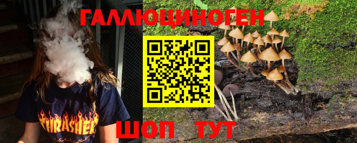 Зеленодольск  Псилоцибиновые грибы Psilocybine cubensis  Вход с VPN 